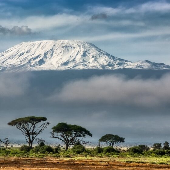 Safari en Tanzanie