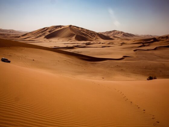 circuit sur mesure à Oman